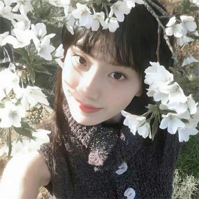 清官难审